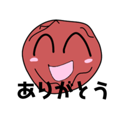 509214584