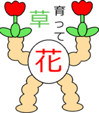 509284394