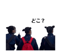 509299033