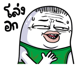 509306052