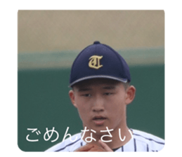 509311663