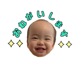 509319564