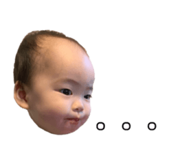 509319565