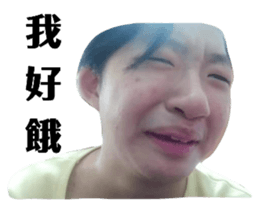 509328865