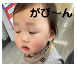 509329917