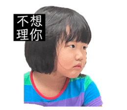 509331343