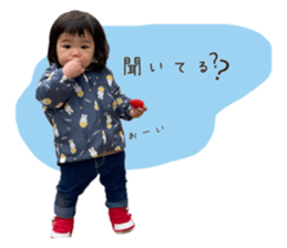 509332240