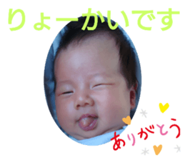 509333290