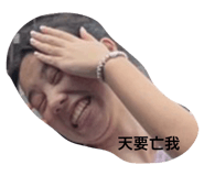 509333649