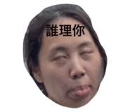 509333651