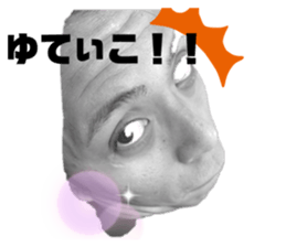 509382798