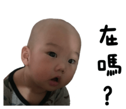 509387009