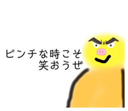 509395054