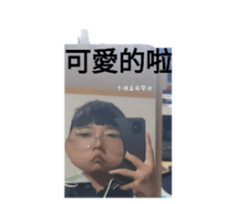 509398706
