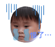 509399956