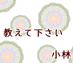 50948082