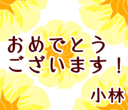 50948084