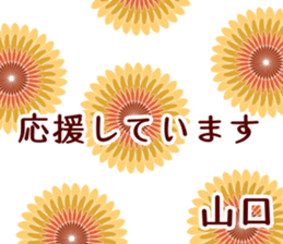 50950174