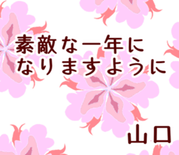50950175