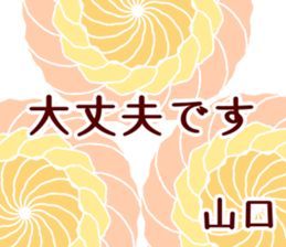50950200