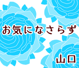 50950203