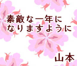 50950465