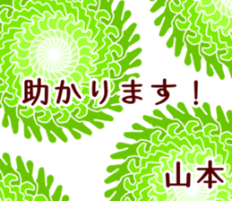 50950479