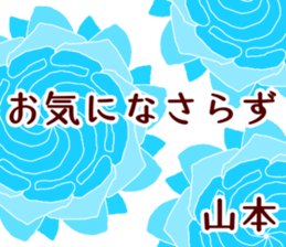50950490