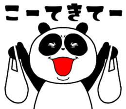 509534493