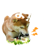 509546193