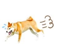 509546194