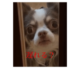 509546271