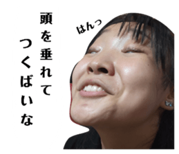 509555602