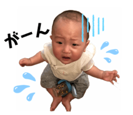 509556879