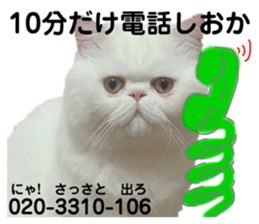 509562776