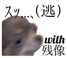 509562788