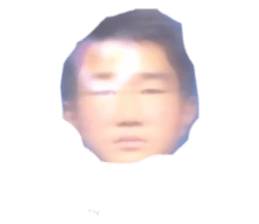 509563264