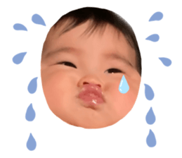 509565514