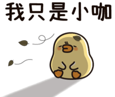509570706
