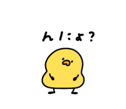 509571633