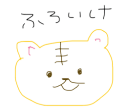 509591162
