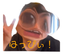 509593183