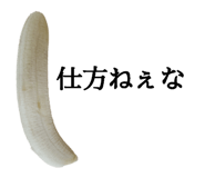 509593825