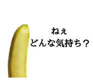 509593831