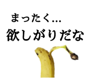 509593836