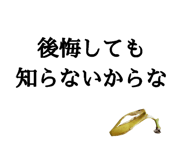 509593837