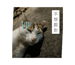 509610297