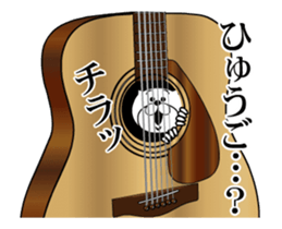 509626213