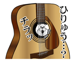 509626309