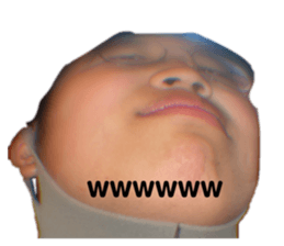 509686484